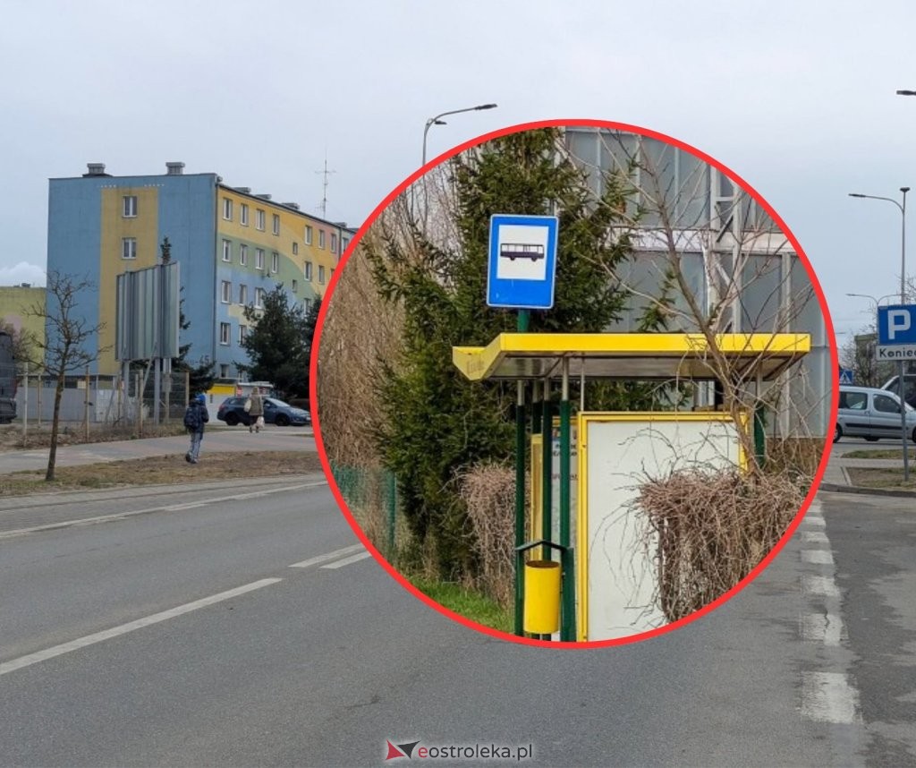 Ważne dla pasażerów w Ostrołęce! Utrudnienia w dojeździe do pracy i szkoły