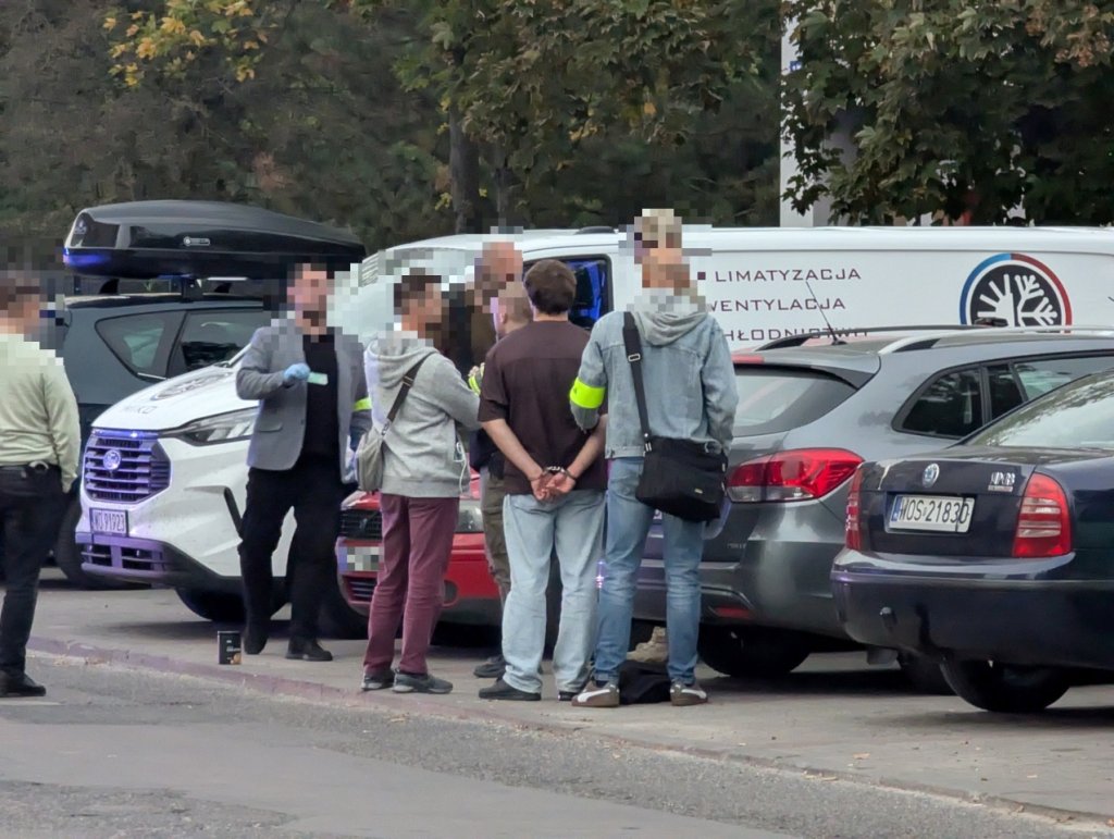 Przeszukanie auta i zatrzymanie przy Parkowej. Wiemy, o co chodziło [WIDEO, ZDJĘCIA]