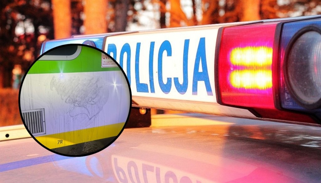 Pociąg do... pociągu. Miłosny wybryk 41-latka na dworcu skończy się w sądzie!