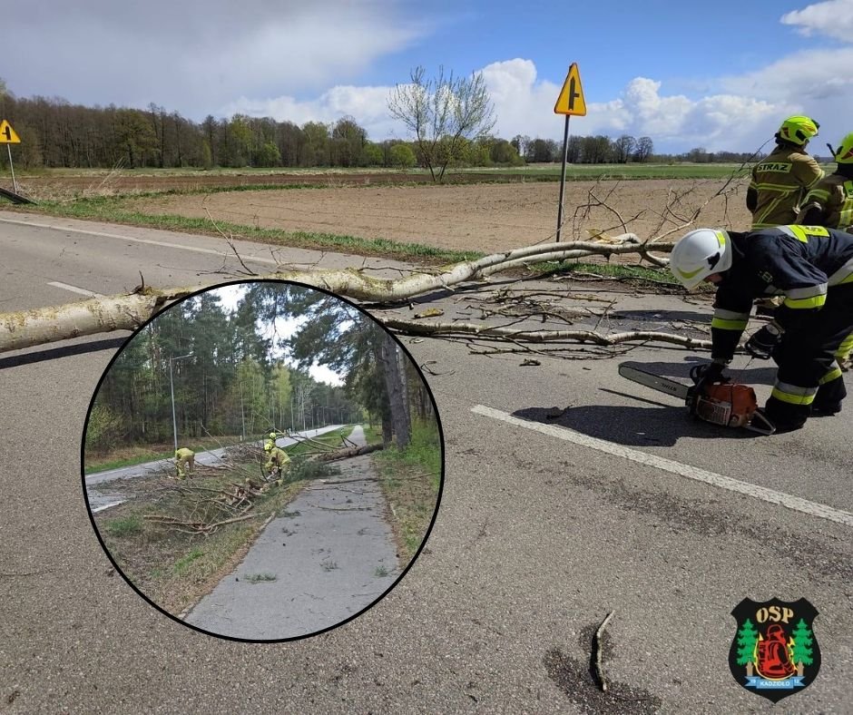 Wichura nie miała litości. Drzewa leciały na drogi, zrywało dachy! [ZDJĘCIA]