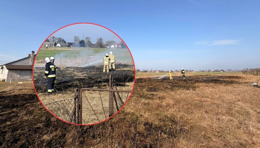 Ogień znów trawi nieużytki. Strażacy nie mają wytchnienia! [ZDJĘCIA]