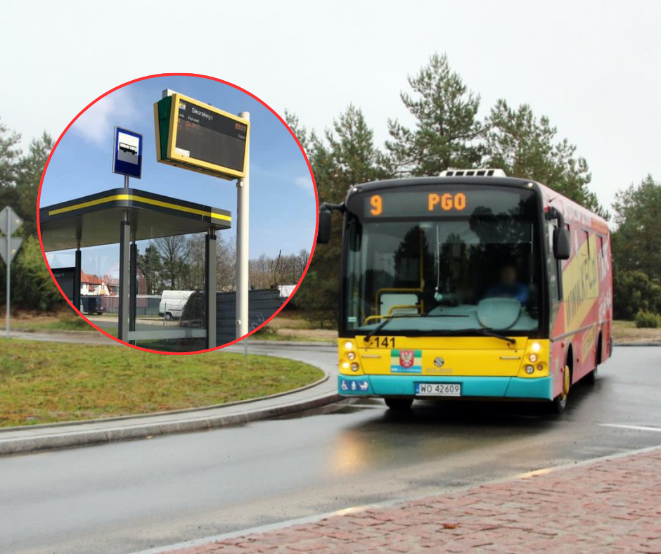zdjęcie ilustracyjne