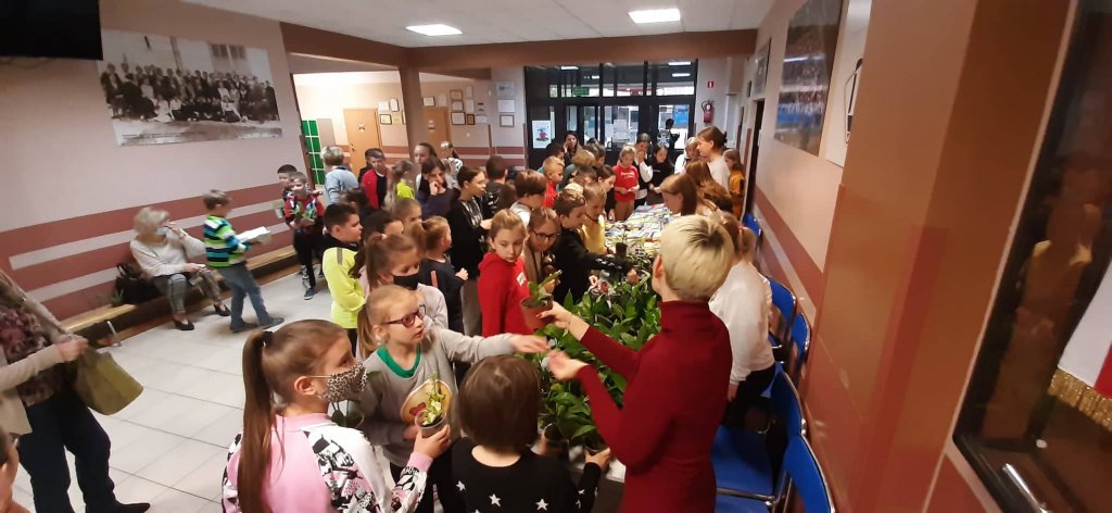 Zostań rycerzem, pokonaj smoka!” – kiermasz roślin doniczkowych fot. Szkoła Podstawowa Nr 1