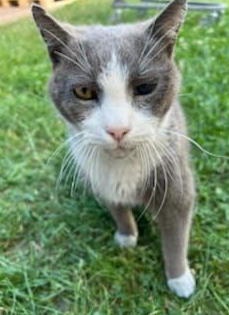 fot. KMP Ostrołęka