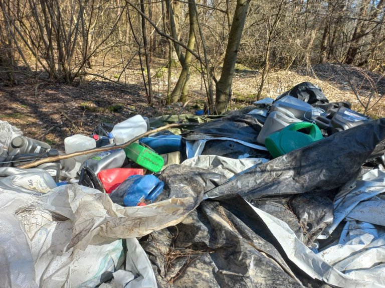 To wciąż, niestety, częsty widok w lasach...