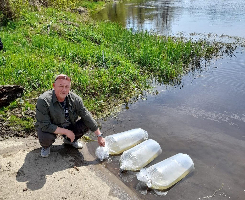 Koło PZW nr 38 Narew Ostrołęka