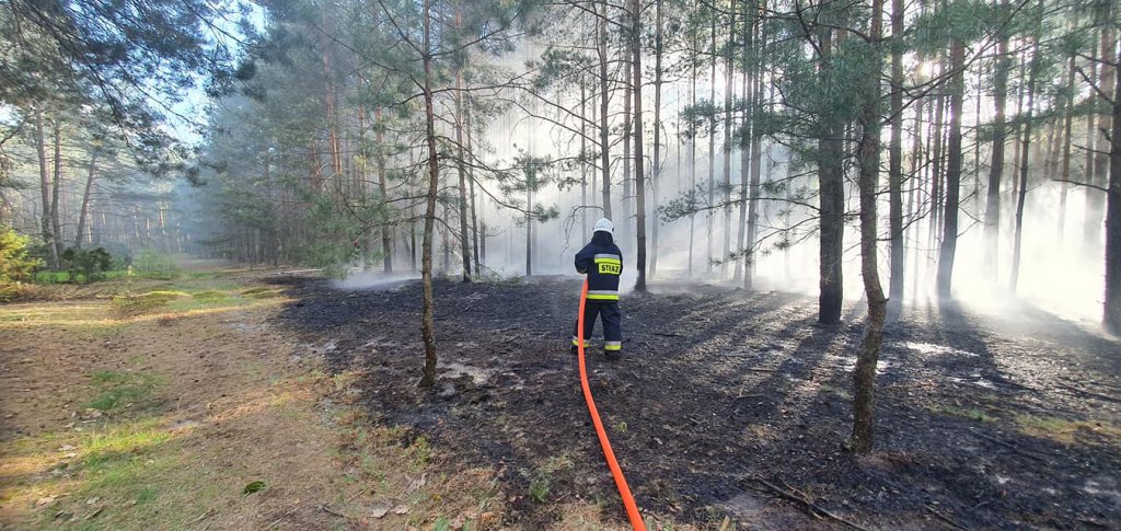 zdjęcie ilustracyjne, fot OSP