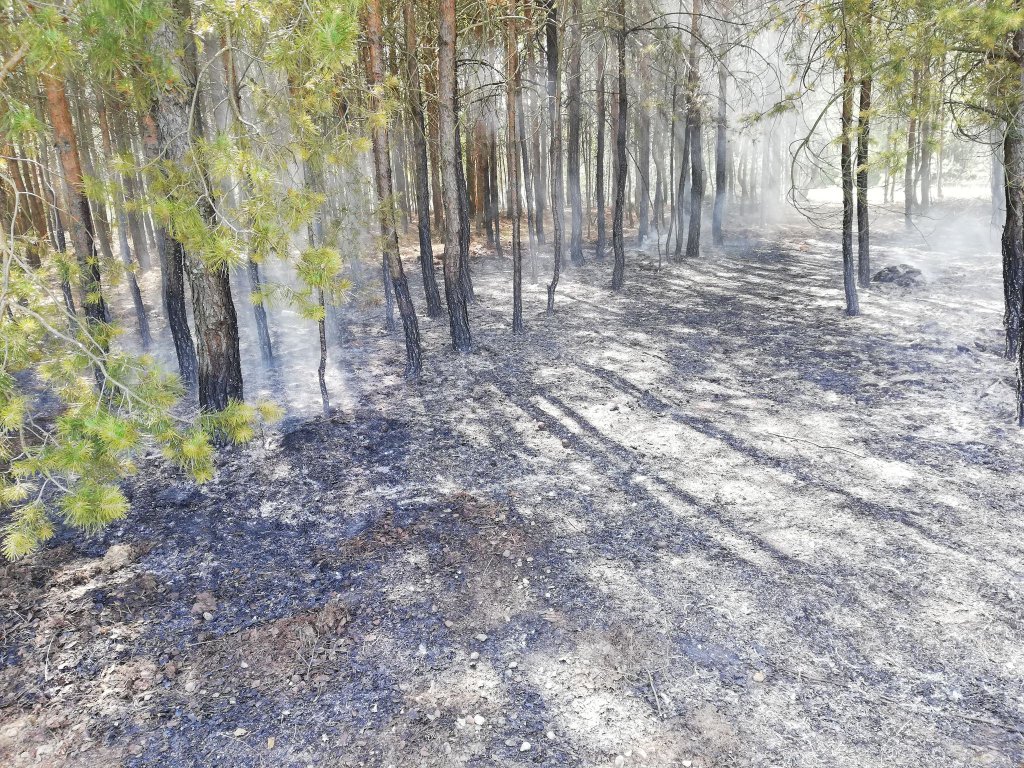fot. nadesłane przez czytelnika
