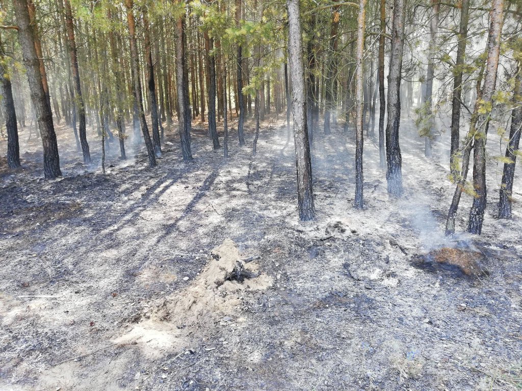 fot. nadesłane przez czytelnika