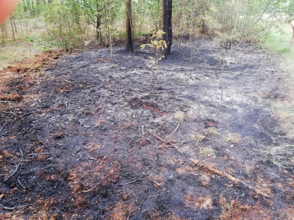 fot. nadesłane przez czytelnika