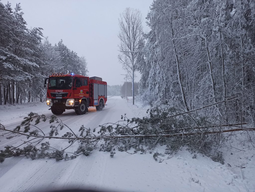 fot. eOstroleka.pl