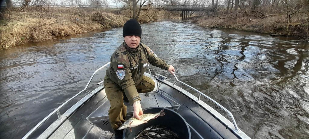 fot. PZW Narew koło nr 38