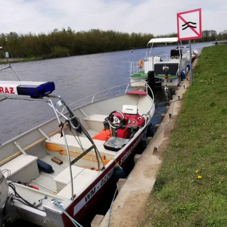 Nietypowa akcja strażaków ochotników z Ostrołęki. Wyciągali z Narwi martwe zwierzę