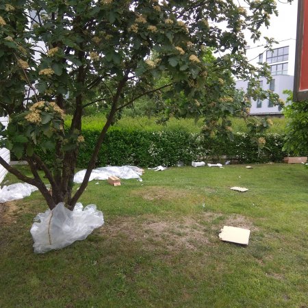 Interwencja Czytelnika: Zaśmiecona ulica Goworowska. Odpady fruwają po całej okolicy [AKTUALIZACJA, ZDJĘCIA]