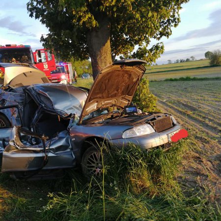 Śmiertelny wypadek. Audi wpadło na drzewo i zostało doszczętnie zniszczone! [ZDJĘCIA]