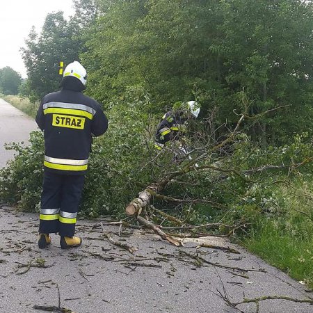 Drzewo runęło na jezdnię w Kurpiach Dworskich [ZDJĘCIA]