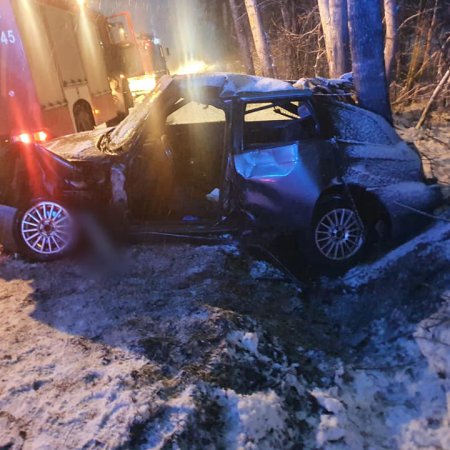 Poważny wypadek w Pasiekach. Kierowca zakleszczony we wraku alfy romeo [ZDJĘCIA]