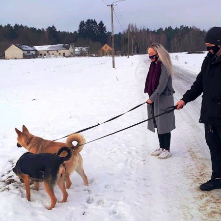 Dary dla schroniska Canis. To efekt zbiórki Młodzieżowej Rady Miasta