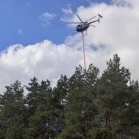 Nietypowa akcja w Ostrołęce. Przycinanie drzew z helikoptera [ZDJĘCIA, WIDEO]