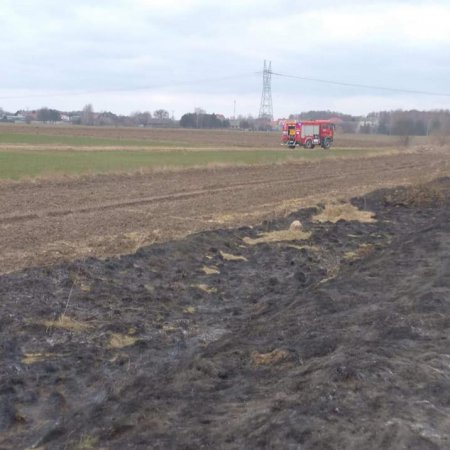 Pożary traw na nieużytkach. Strażacy wyjeżdżali do Janoch i Suska Starego [ZDJĘCIA]