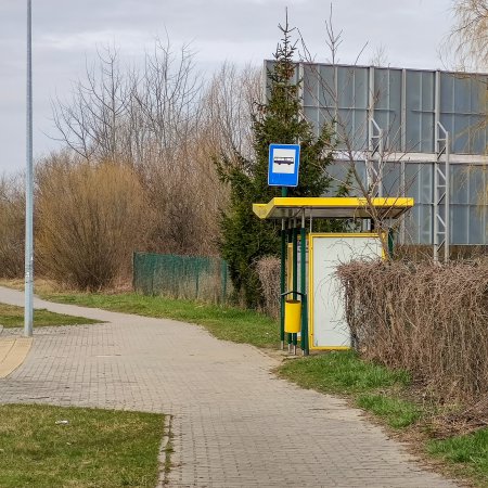 Jak sprzątane są przystanki w Ostrołęce? Jeden z pracowników miał wdrożyć... swoją procedurę