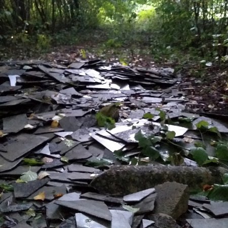 Interwencja Czytelnika: Rakotwórczy azbest w lesie pod Ostrołęką! [ZDJĘCIA]