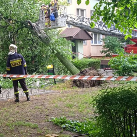 Strażacy walczyli ze skutkami nawałnicy. Kolejny alert RCB: uwaga na burze i silny wiatr [ZDJĘCIA]