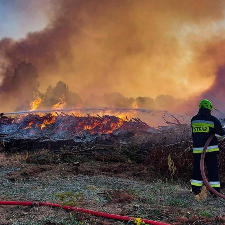 Akcja strażacka przy Jagodowej w Myszyńcu. Ponownie płonęła sterta gałęzi [ZDJĘCIA]