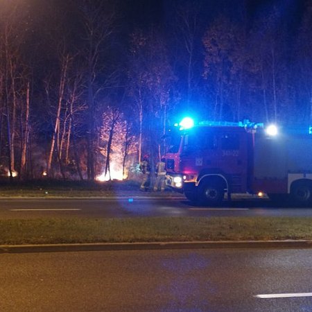 Akcja strażacka przy mini obwodnicy. Od zerwanej linii energetycznej zapalił się las [WIDEO, ZDJĘCIA]