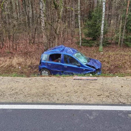 Niebezpieczny wypadek. Jeleń wbiegł wprost pod niewielkiego fiata. To mogło zakończyć się tragicznie [ZDJĘCIA]