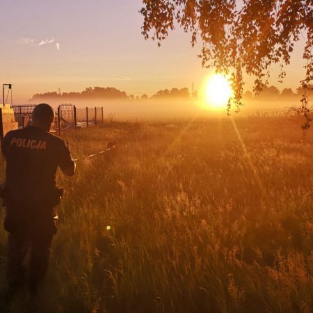 Idan to ma nos! Policyjny pies wytropił włamywaczy pokonując kilka kilometrów