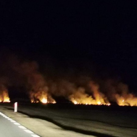 Zaczęło się. Znów płoną nieużytki w regionie [FOTO]