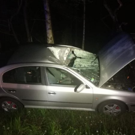 O włos od tragedii po zderzeniu z łosiem [FOTO]