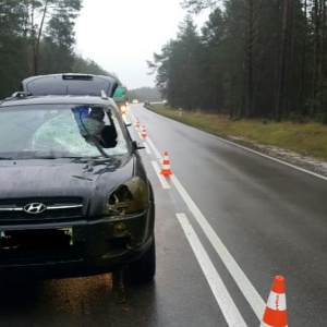 Wypadek między Ostrołęką a Nową Wsią Zachodnią. Poszkodowana jedna osoba [FOTO]