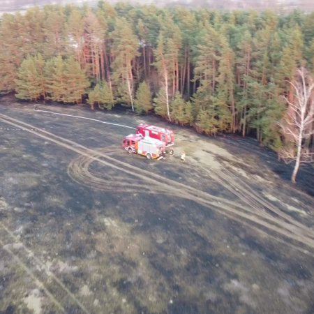 W powiecie ostrołęckim płonęły lasy i nieużytki. Ryzyko pożarów niezwykle wysokie!