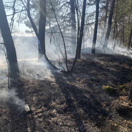 Kolejna doba strażackich zmagań z pożarami na nieużytkach