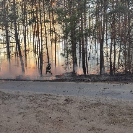 Pożar w lesie w Bandysiach