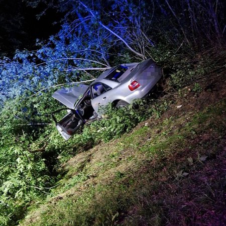 Tragiczny finał zderzenia osobówki z łosiem. Nie żyje 22-letni kierowca audi