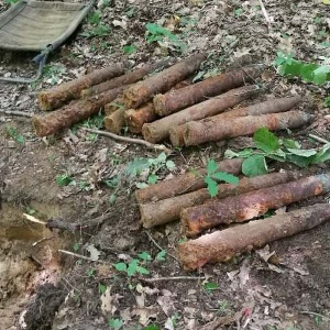 W lesie znaleziono skład amunicji z II wojny światowej [ZDJĘCIA]
