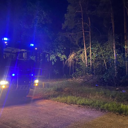 Błyskawiczna reakcja strażaków pozwoliła na uniknięcie pożaru na większą skalę [FOTO]