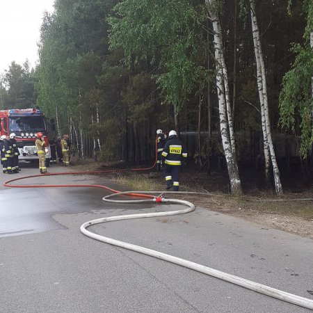 Trzy pożary lasów w naszym regionie. Z ogniem walczyło kilkudziesięciu strażaków