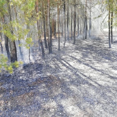 fot. nadesłane przez czytelnika