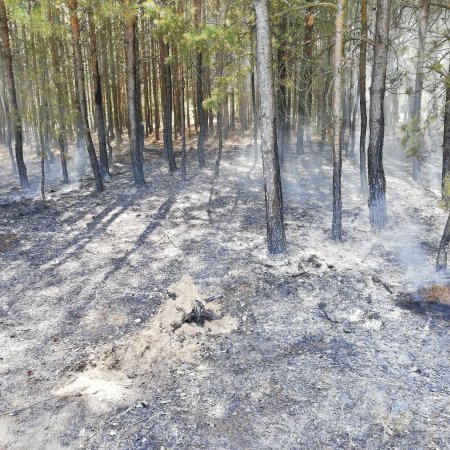 fot. nadesłane przez czytelnika