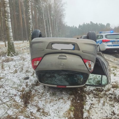 Dachowanie przez sarny. To mogło zakończyć się tragicznie [ZDJĘCIA]