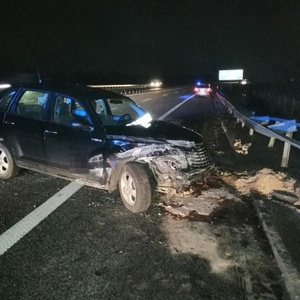 Poważny wypadek w Lucynowie. Jedna osoba trafiła do szpitala [ZDJĘCIA]