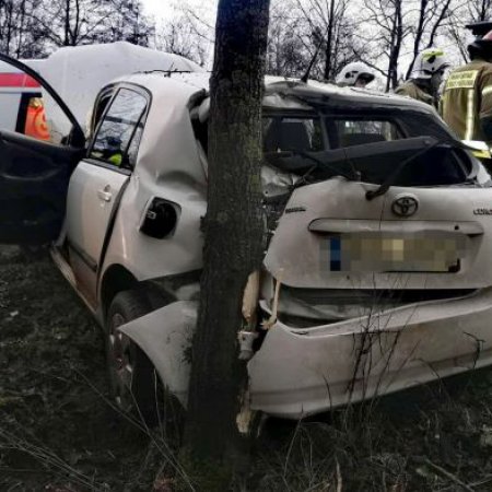 Myślał, że na drodze leży człowiek. Gwałtownie odbił i uderzył w drzewo [ZDJĘCIA]