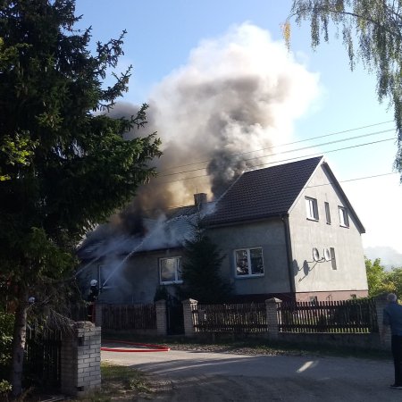 Strażackie interwencje z minionej doby. Były dwa pożary i powalone drzewo [WIDEO]