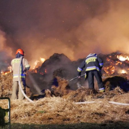 Pożar na terenie gminy Wąsewo. W akcji 10 jednostek strażackich [ZDJĘCIA]