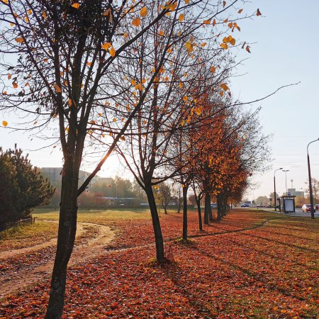 Pierwszy taki park w mieście. Prezydent zapowiada nowoczesne miejsce do wypoczynku