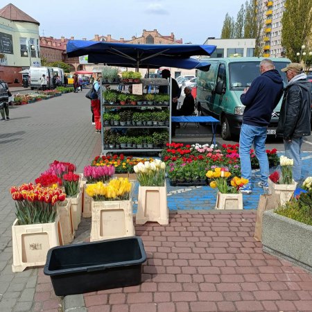 Weekendowe bazarki przy Prądzyńskiego. Co o tym sądzą mieszkańcy? [SONDA, ZDJĘCIA]